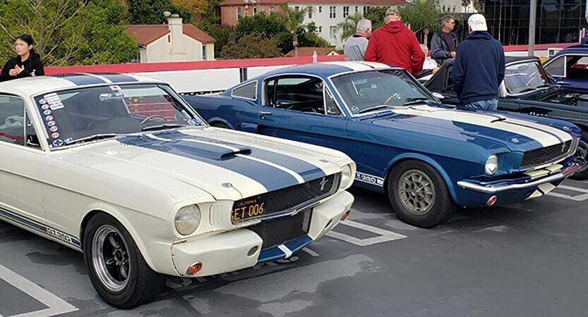 You are currently viewing Wild Mustangs at the Petersen